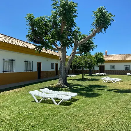 Mellizos 5*