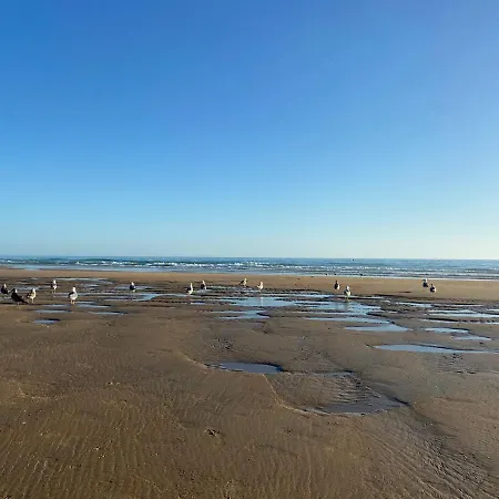 Pensión Mellizos Conil De La Frontera